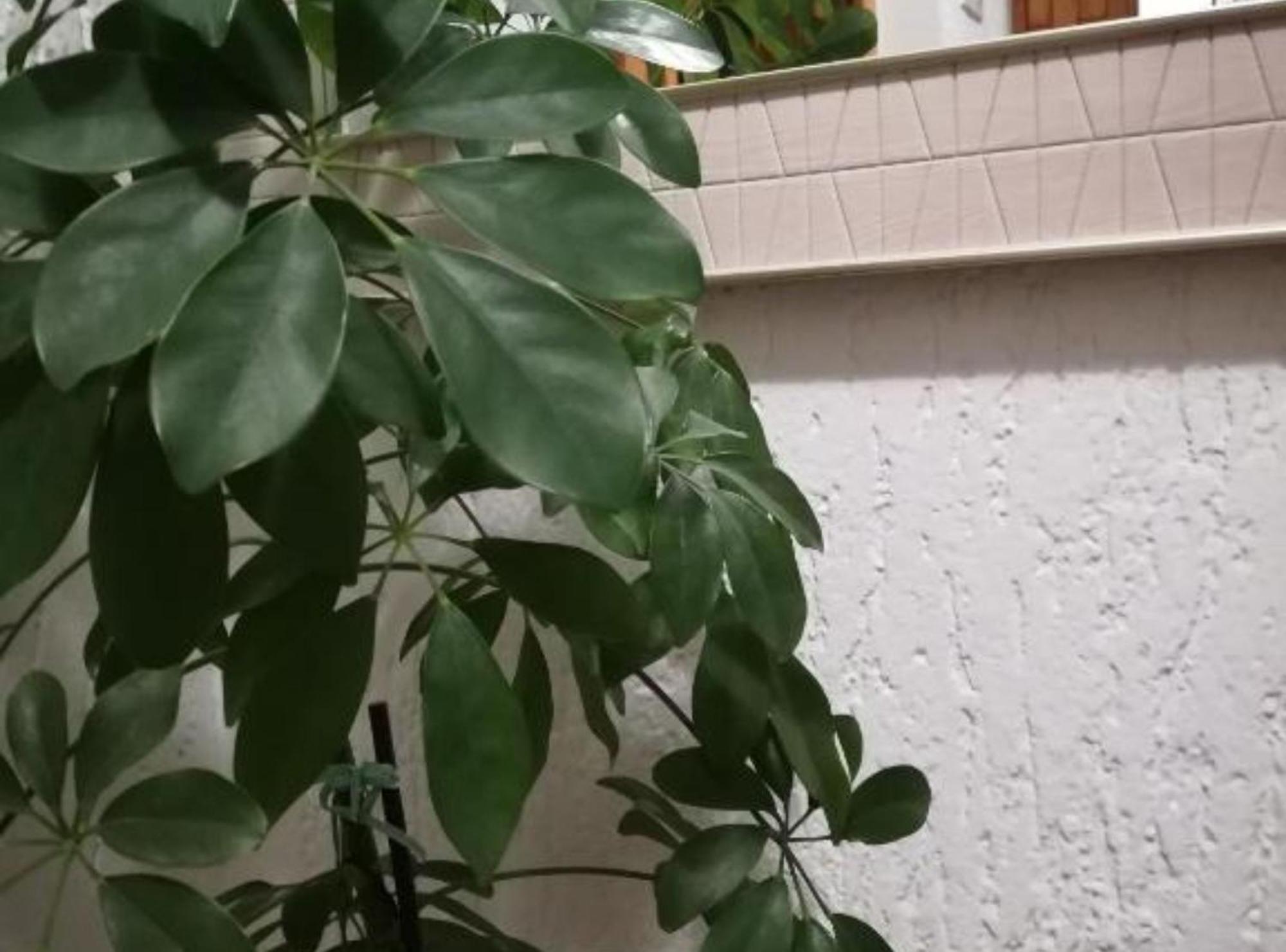 Olymp Osijek-garaza Apartment *